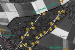 1_Wald-Weidenstetten-Nistkastenplan-Haeue-Juni-2021