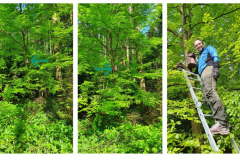 2_18.-Nisthoehle-3SV