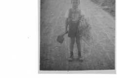 Feldarbeit (1948)