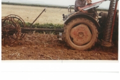 Kartoffelernte 1968