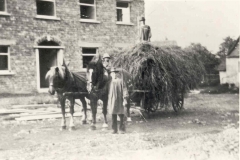 Landwirt Krauß