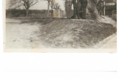 Linde auf Friedhofskreuzung (evtl. 1963)