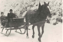 Pferdeschlittenfahrt (Bauer Krauß)